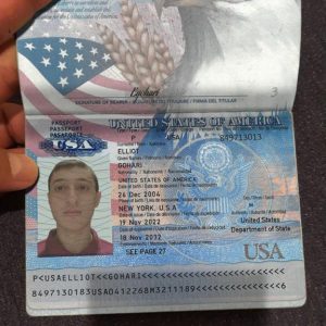 Obtain USA passport